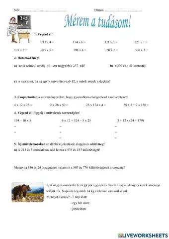 Felmérő matematika,