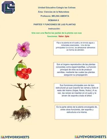 Transporte de nutrientes