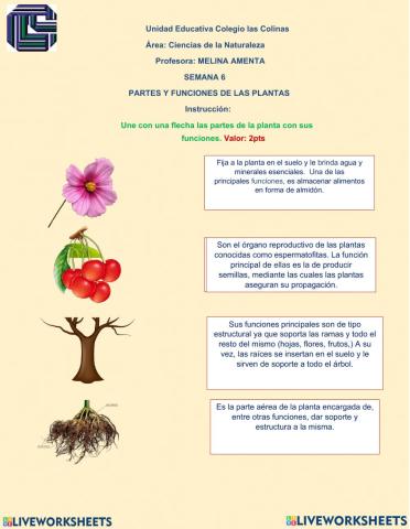 Transporte de nutrientes