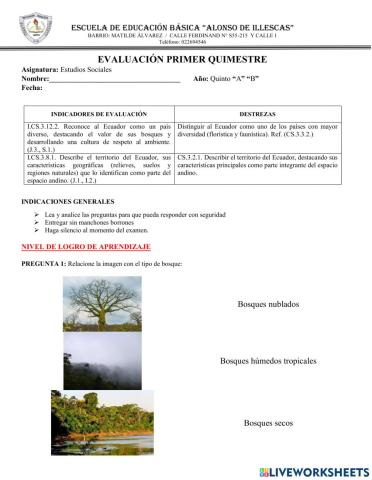 Evaluacion quimestral