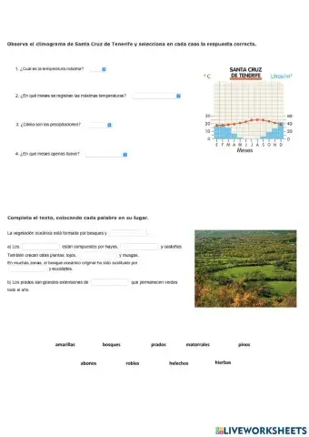 Clima subtropical y oceánico