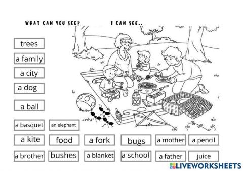 Picnic vocabulary