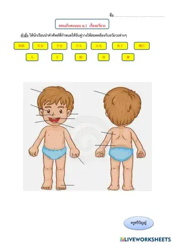 ภาษาจีน อวัยวะ