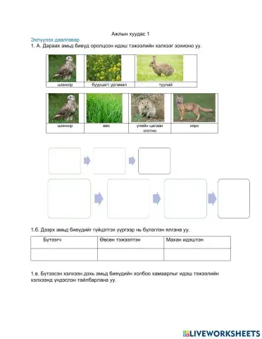 Идэш тэжээлийн хэлхээ болон сүлжээ