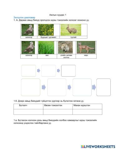 Идэш тэжээлийн хэлхээ болон сүлжээ