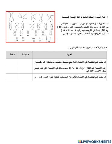 الطفرة الكروموسومية العددية