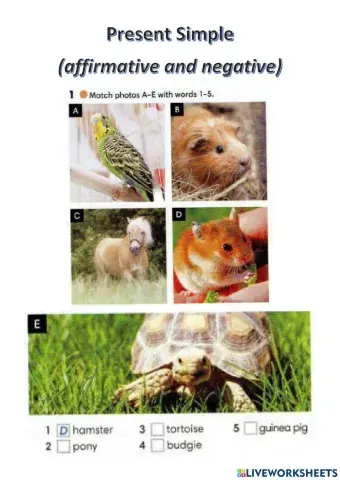 Wider World 1 - Unit 3.2 - Present Simple (affirmative and negative)
