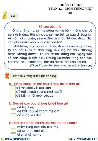 Phiếu TV Tuần 21