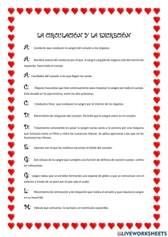 Aparatos circulatorio y excretor