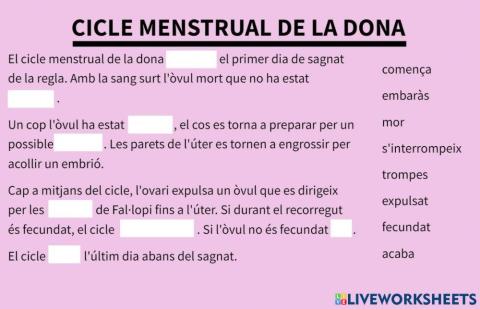 Cicle menstrual de la dona
