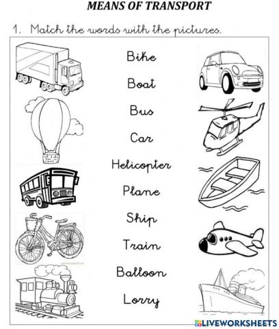 Means of trasportation