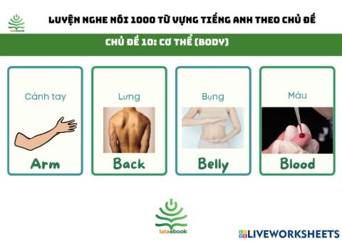 Tự luyện nghe nói 1000 từ vựng tiếng Anh thông dụng