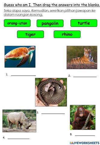English Year 3 Unit 10 The World Around Us Smart Kids Ex3