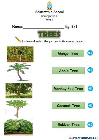 Names of trees