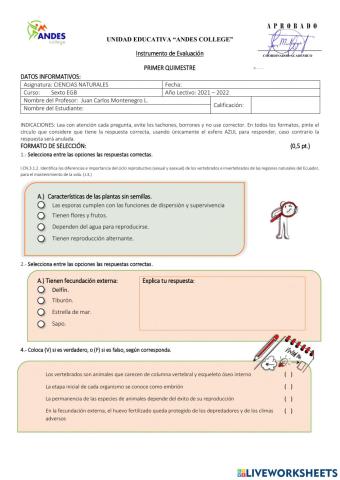 Prueba Quimestral CCNN