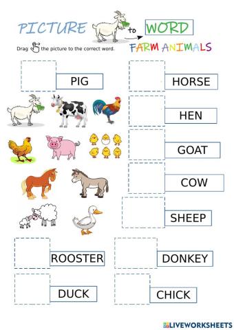 Farm animals