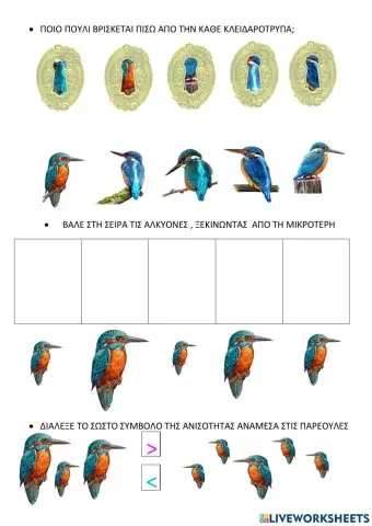 Μυθολογια-Αλκυόνα