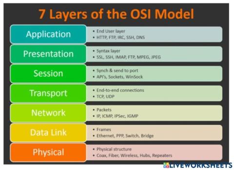 OSI Model
