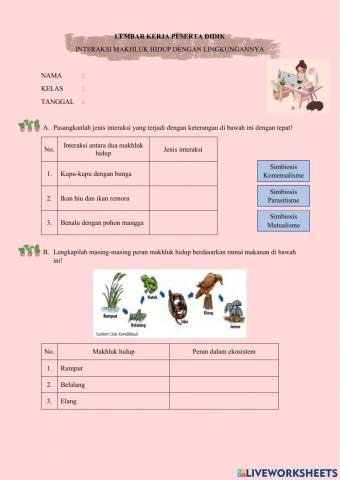 Interaksi Makhluk Hidup dengan Lingkungannya