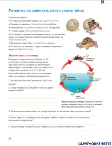 Учебна тетрадка