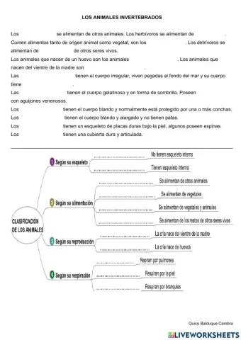 Animales invertebrados.