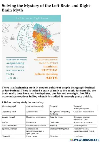 The left brain vs right brain myth