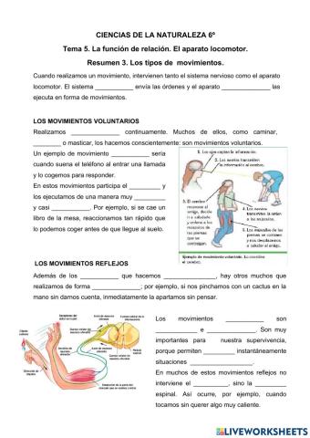 Los tipos de movimientos