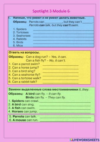 Spotlight 3 Module 5 Can can't