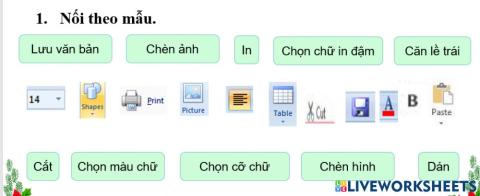 Bài 6: Luyện tập tổng hợp