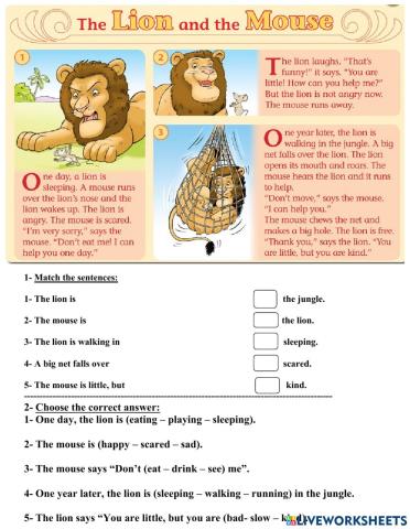 Grade 4 unit 5 lesson 5 act 2