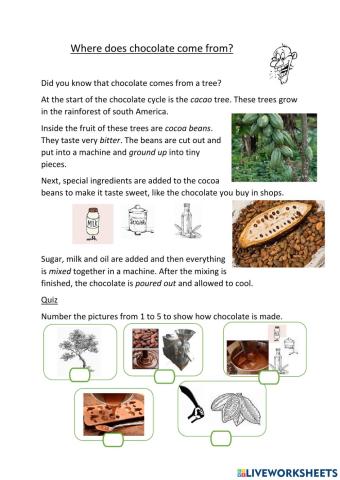 Chocolate - How was it made?