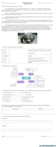 Endangered Animal: Komodo Dragon