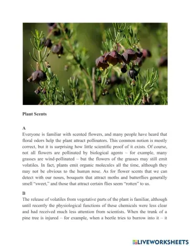 Reading - actual test - passage 1 - 34301