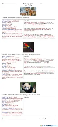 Endangered Animals: Report Writing