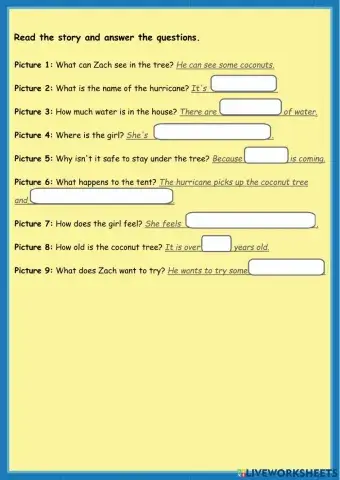 The Hurricane and the coconut tree