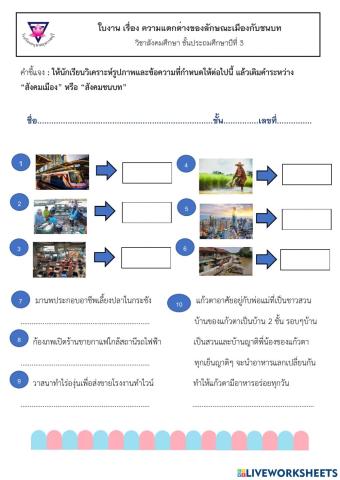 ความแตกต่างระหว่างชนบทกับเมือง