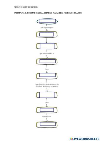 Función de relación