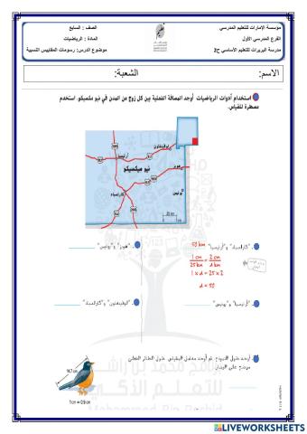 رسومات المقاييس النسبية