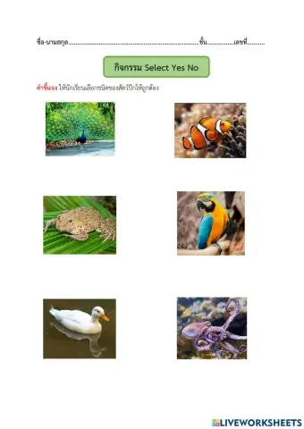 03เลือกคำตอบ