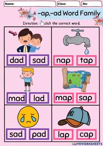 Ad,ap word family