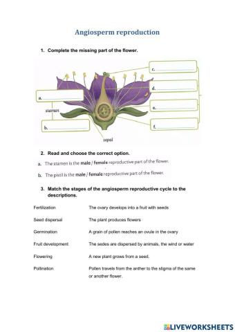Angiosperm reproduction