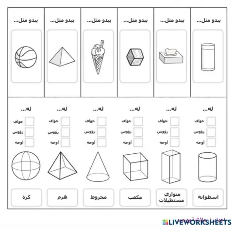 الأشكال الثلاثية الأبعاد