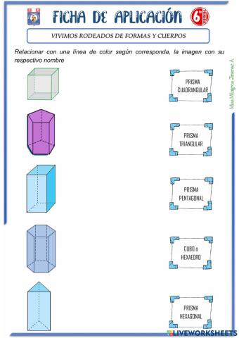 Vivimos rodeados de formas y cuerpos