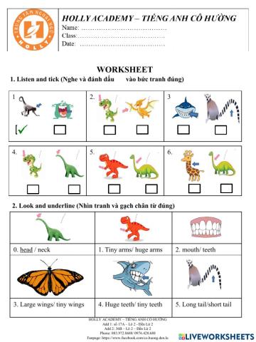 Candy-This one has a small head