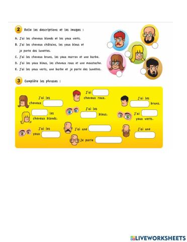 Description du visage