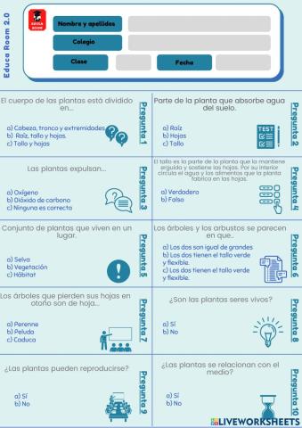 4º ud4 cuestionario 1 natu