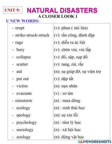 English 8- unit 9- a closer look 1