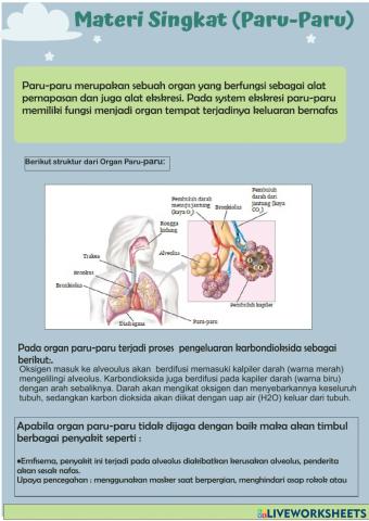 Ringkasan materi sistem ekskresi (hati dan paru)