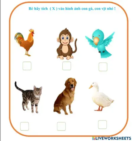 Tich vào hình ảnh gà và vịt nhé
