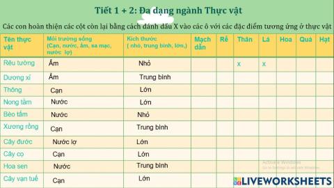 ĐẶc điểm thực vật
